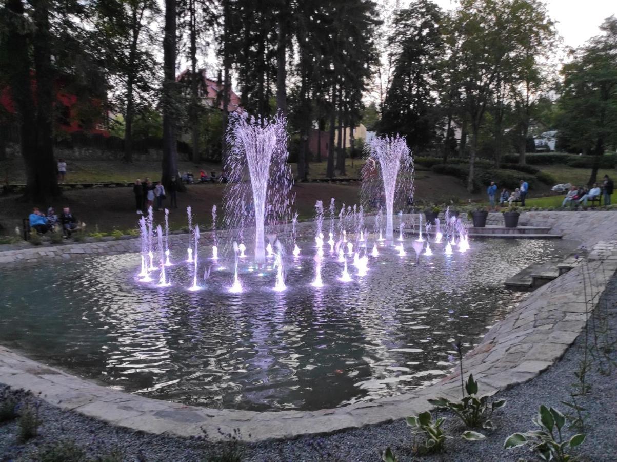 Apartament Pod Jalowcem Gory Sowie 533-543-732 Єдліна-Здруй Екстер'єр фото